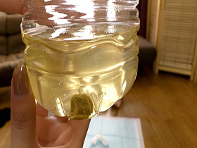 あかねさんのうんこ撮っちゃった　サンプル画像06